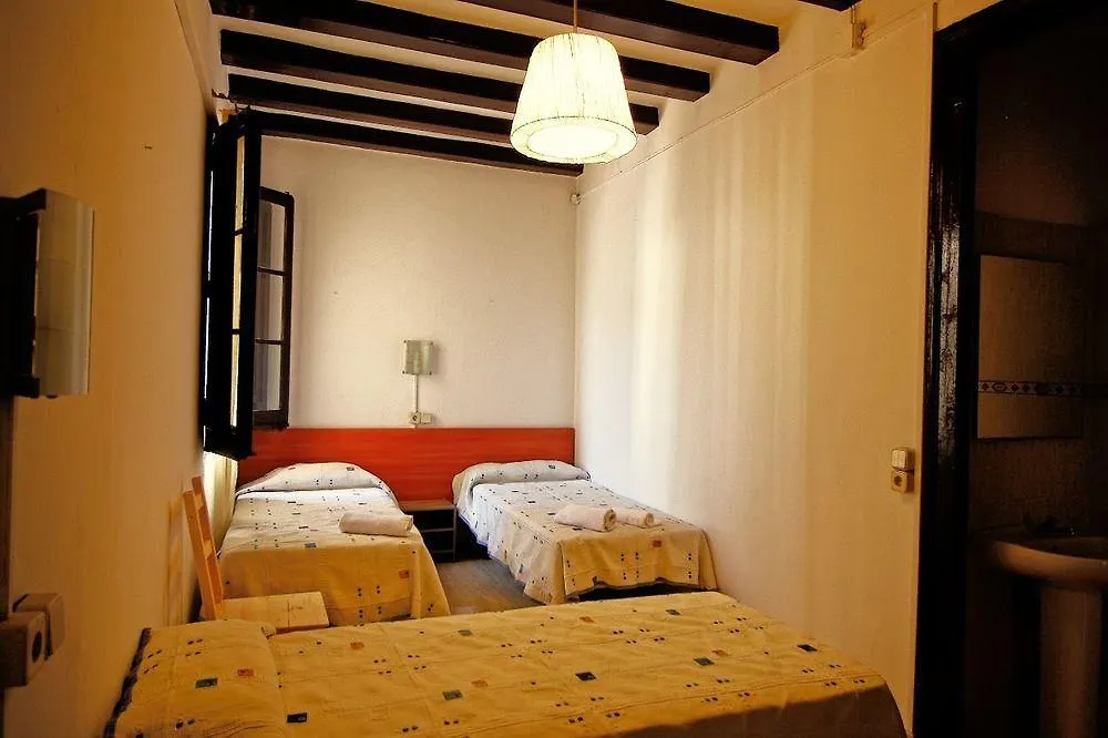 Hostal Dragonfly Bcn Barcelona