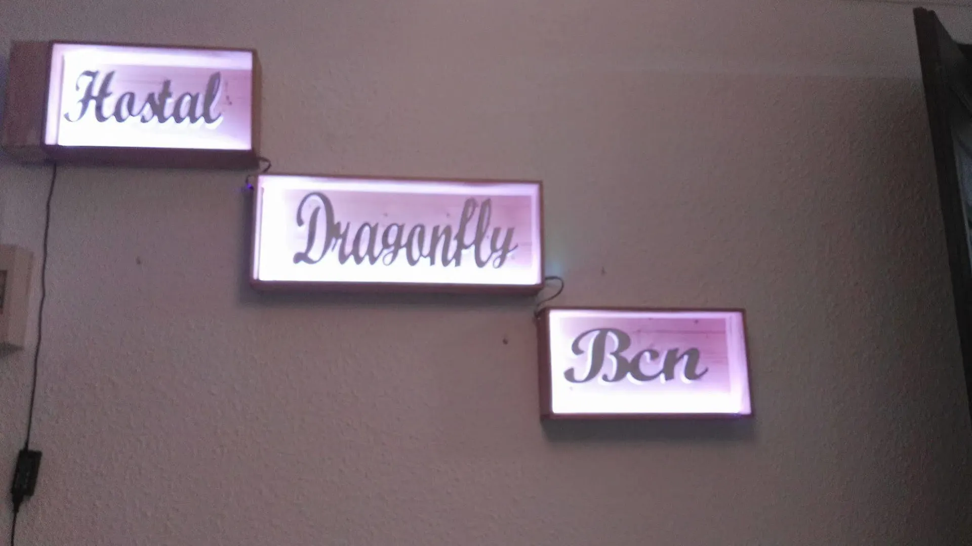 Hotel Hostal Dragonfly Bcn Barcelona