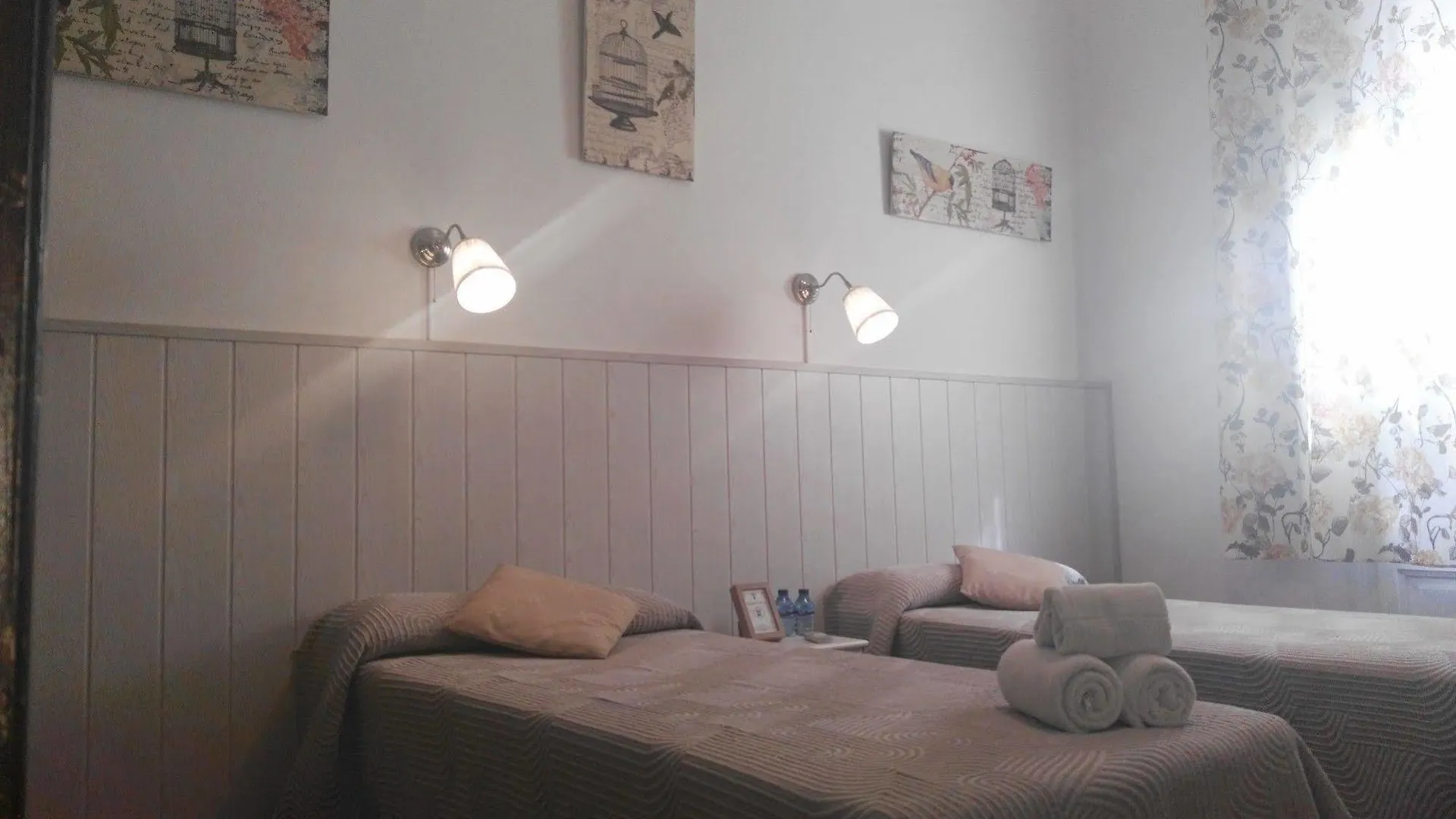 Hotel Hostal Dragonfly Bcn Barcelona Spain